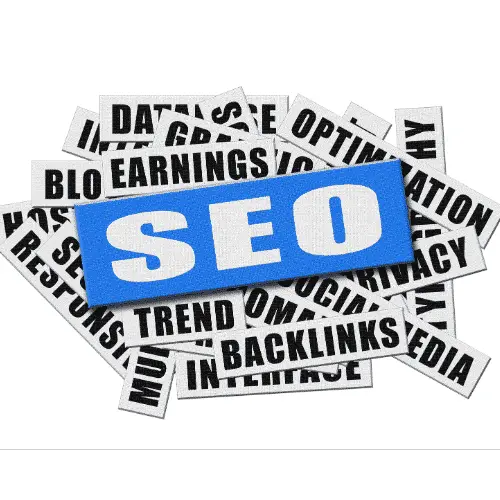 El seo profesional definicion 